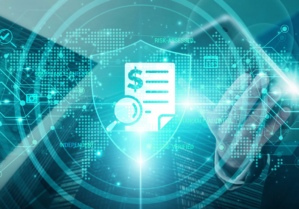 Entity Risk Overview - EntityRisk